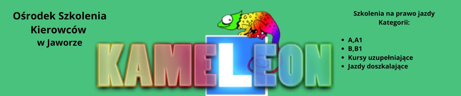 Ośrodek Szkolenia Kierowców Jaworze Kameleon