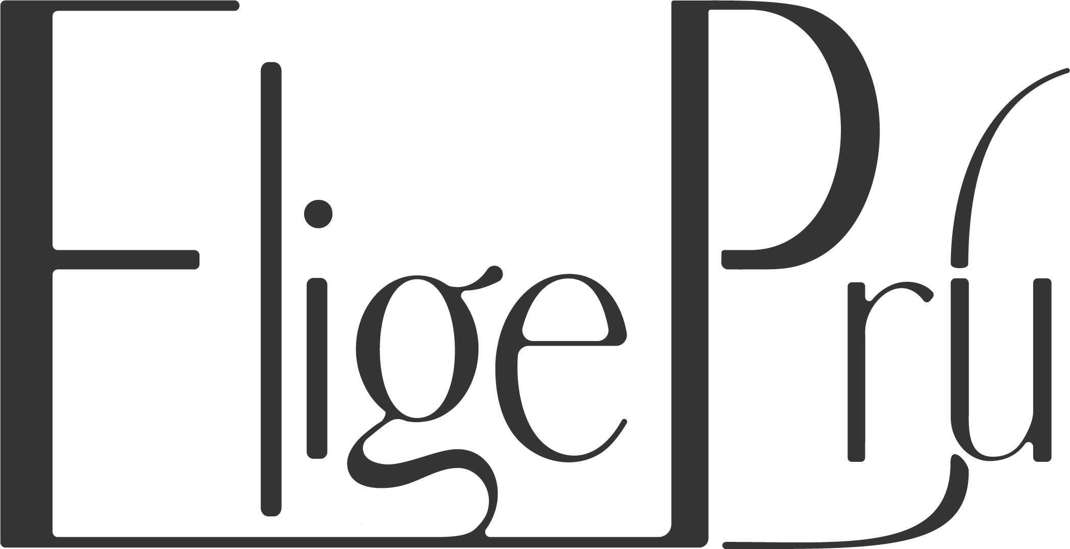 logo eligepru